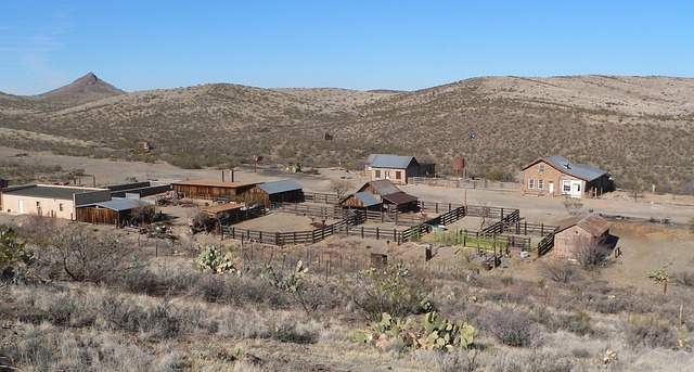 The Pig Pick: New Mexico’s Meat-Fueled Extravaganza New Mexico, Land…