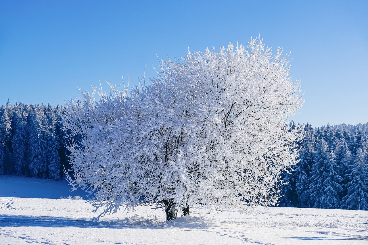 Moe Wagner,mo Wagner – Åland Islands: The Place Where Nothing…