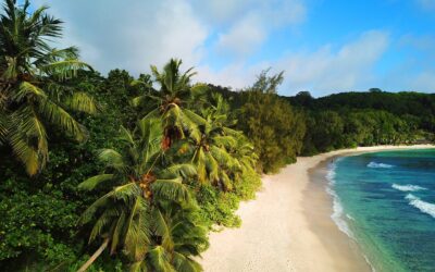 Asia:: Fijian Paradise: A Guide To The Scenic Islands TL;DR…