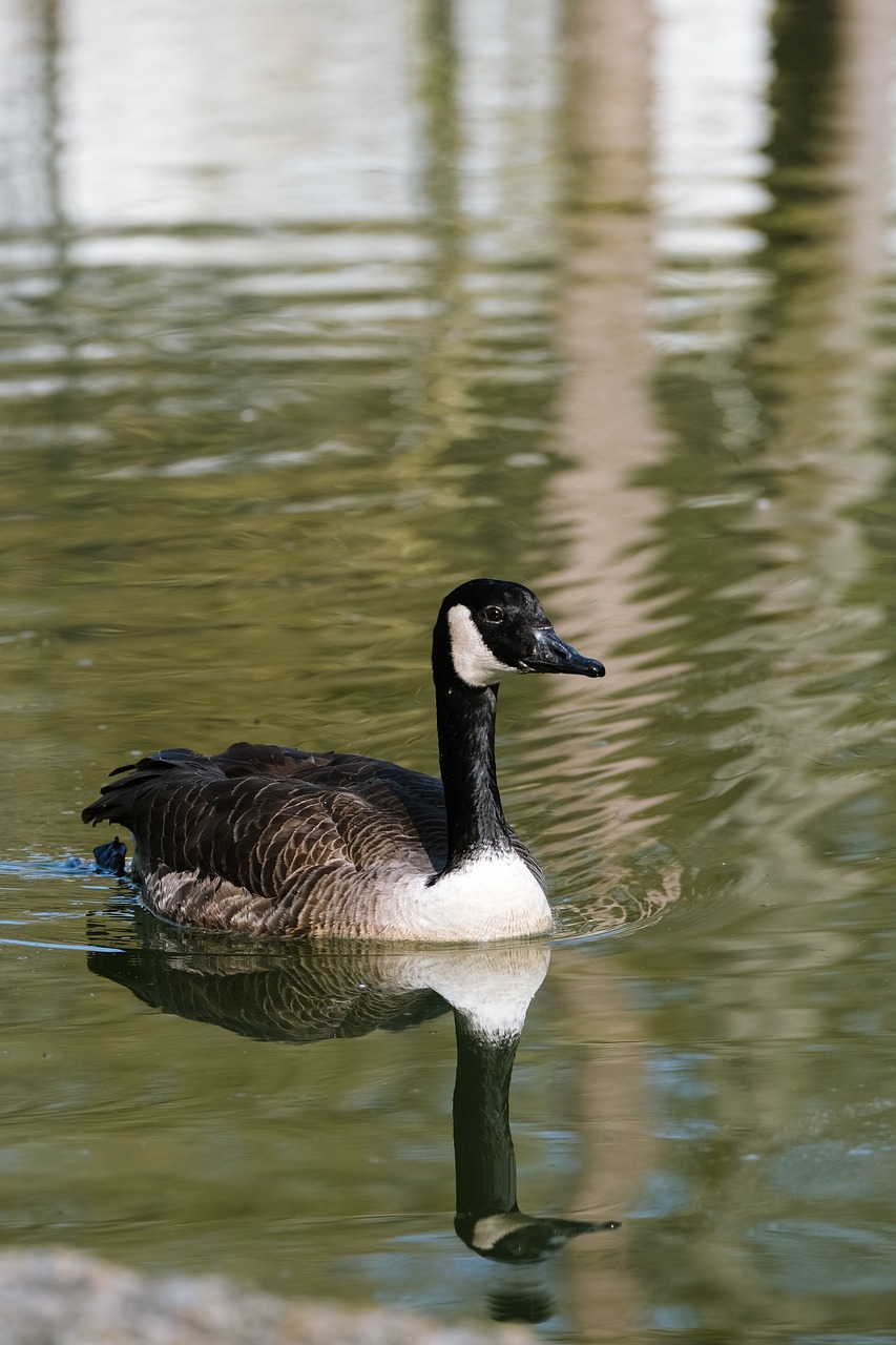 Biological Discoveries: ~ Headline: Unraveling Nature’s Secrets: Biological Discoveries Unveiled…