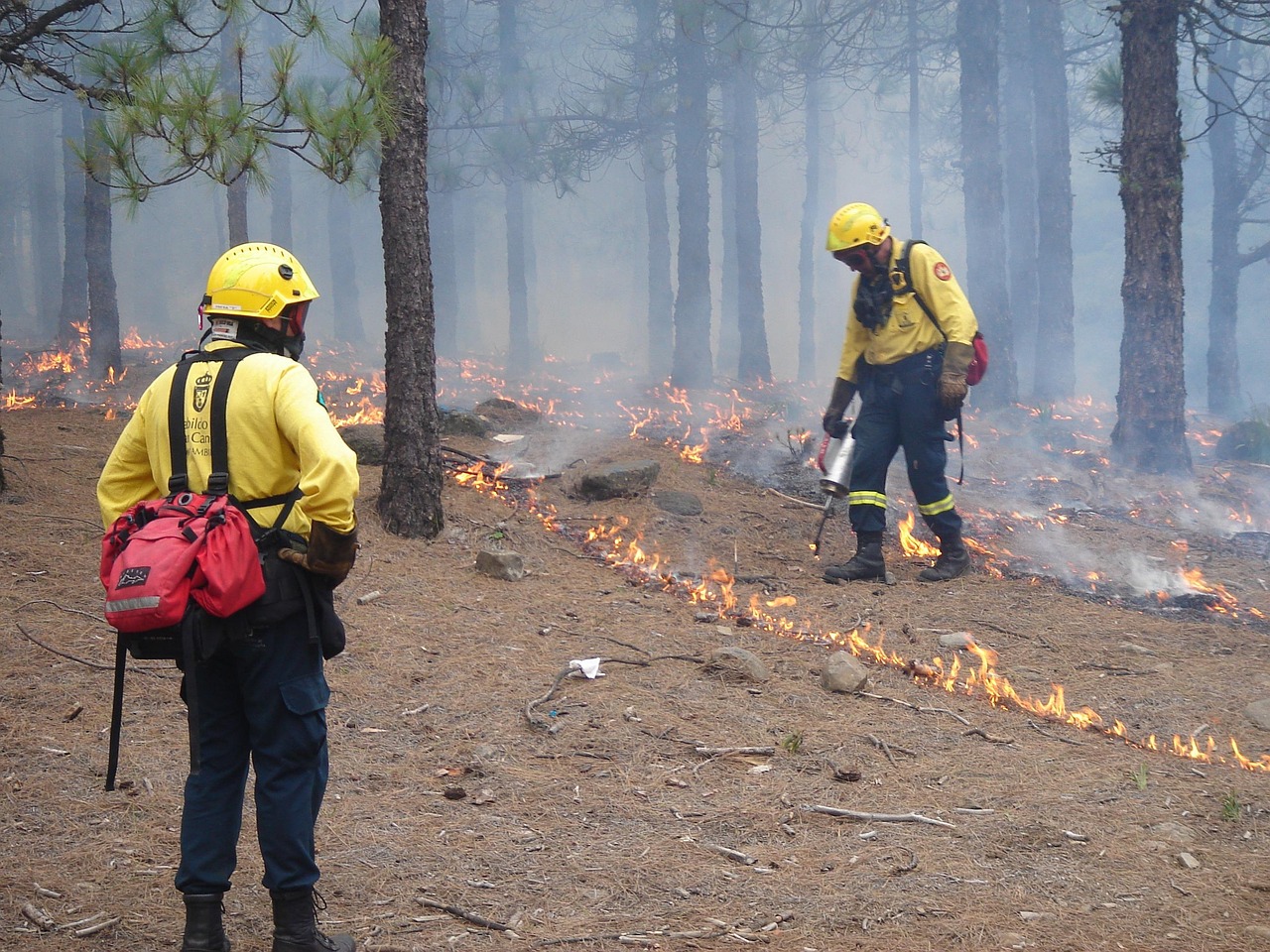 Firemen And Other Heroes ~ Oman’s Unsung Heroes: Firefighters And…