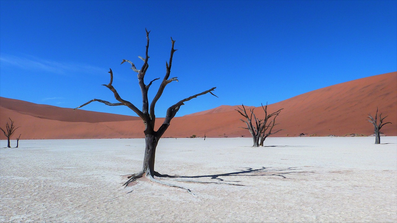 The Pig Pen: ~ Namibia: The Land Of Endless Desert…