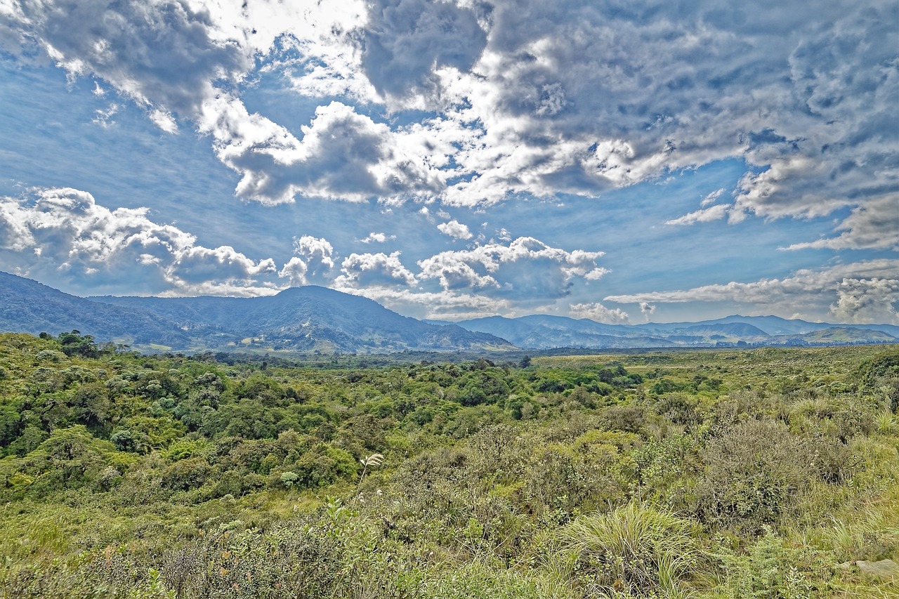 Nacional Vs,nacional: National Vs. Guadeloupe: Uncovering The Distinctive Charms Near…