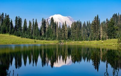 Canada, The 51st State ~ Canada: The 51st State? Hold…