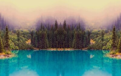 Website Redesign | Revamp Your Website: Make It Shine Like…