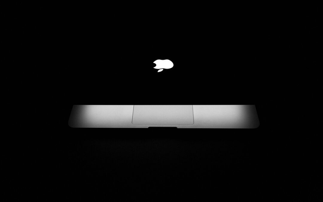 Business & Finance: » The Roller Coaster Ride Of Tech:…