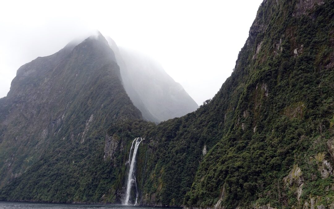 CBS News Investigative Journalism » Unveiling The Truth: A Journey…