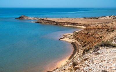 Other Random Topics:: Dive Into The Deep: Western Australia’s Wonders…