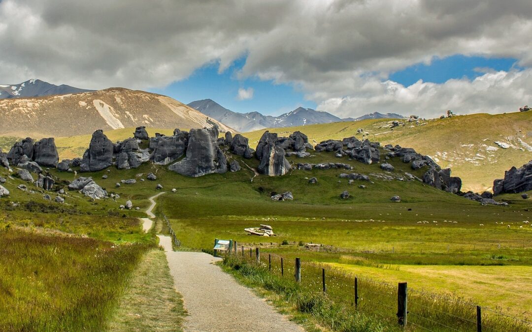 Thoughtful Treats (slang) ~ A World Away: Exploring New Zealand’s…