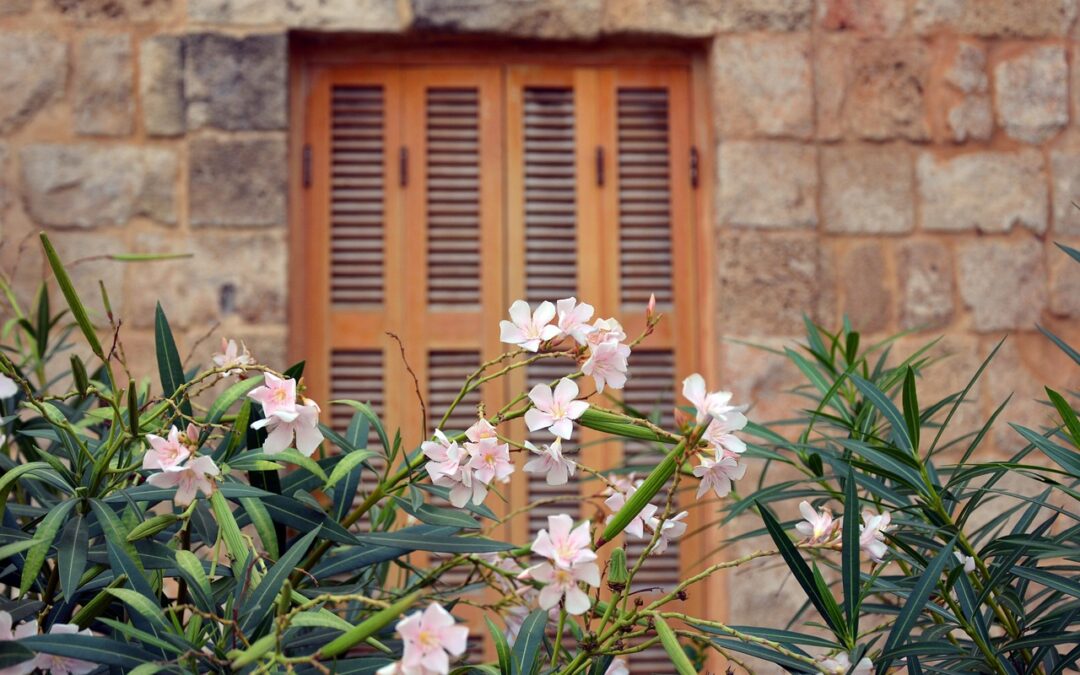 Bussin’ – Really Good (informal Language) | “Bussin'” Your Way…