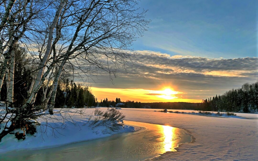 Canada, The 51st State – Beyond The Maple Leaf: Unveiling…