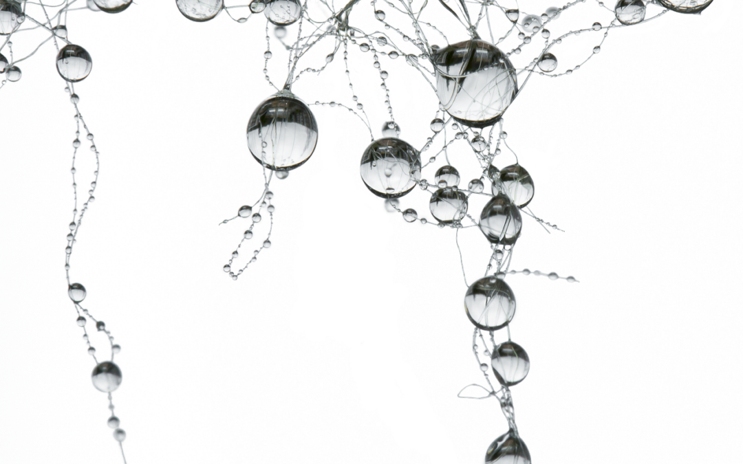 News Networks: Dive Into The World Of News And Information!…