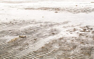 Strategies To Raise Great Salt Lake Water Levels ~ Saving…