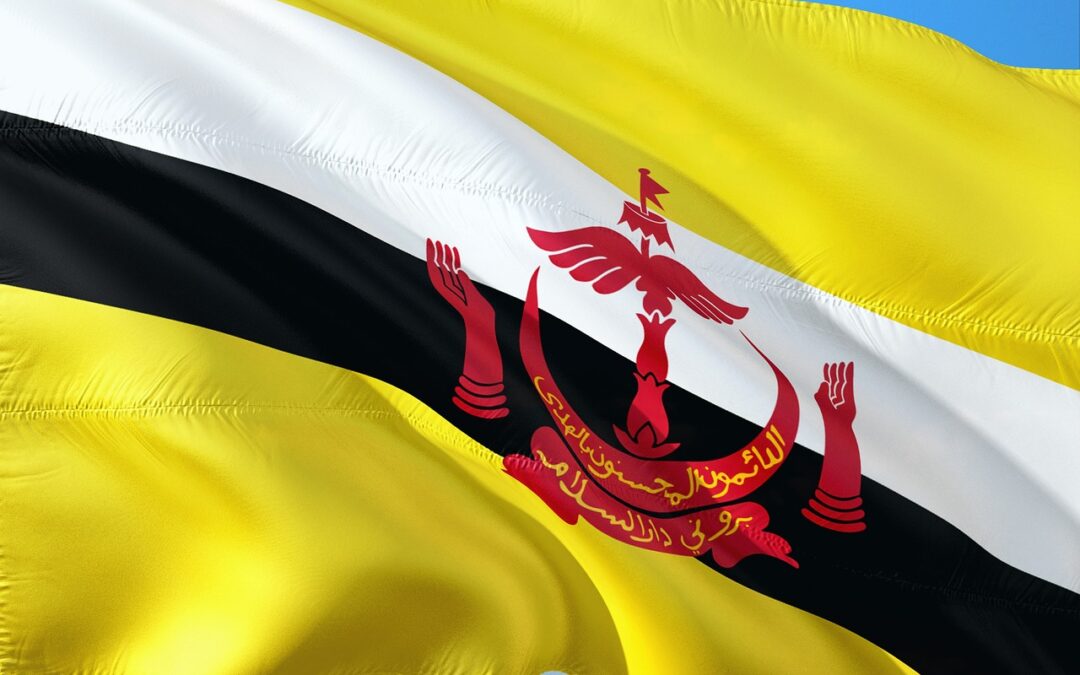 Telemundo: / Dive Into The World Of Telemundo And Brunei:…