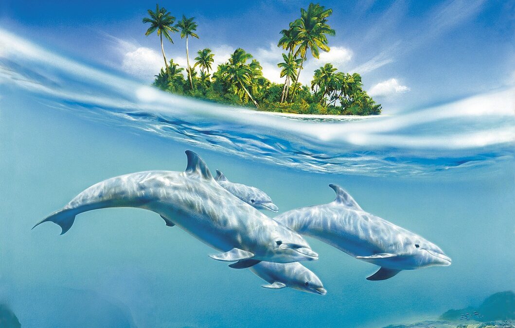 Miami Dolphins Games / “`html The Gridiron Symphony: An Ode…