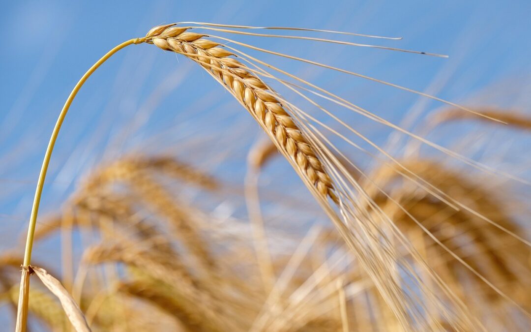 North American Economic Updates | Journey Into North America’s Economic…